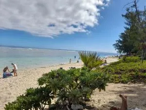 Studio de l'océan - Filaos