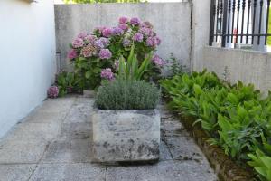 Maisons de vacances Maison Cenon independante avec jardin et parking : photos des chambres