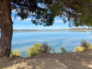 B&B / Chambres d'hotes Tra mare e lago : photos des chambres