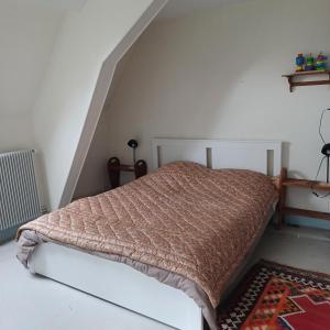 Villas Beau chateau entre Loire et Bourgogne, 12 chambres 27 personnes : Villa