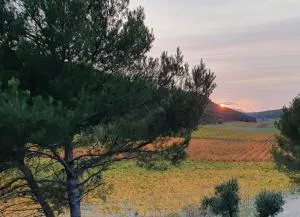Domaine dans les Vignes - Roquefort-la-Bédoule