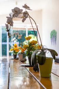 Maisons de vacances La maison du Bonheur Ares 30 personnes avec piscines chauffees : photos des chambres