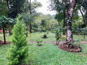 Cuppa Creek Homestay
