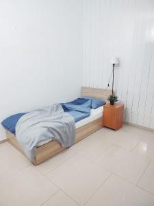 Old town Bucharest- Shared Apartment