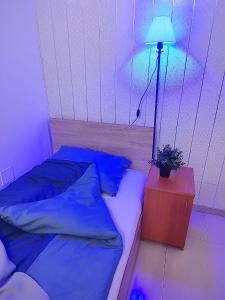 Old town Bucharest- Shared Apartment