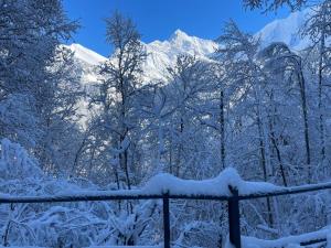 Appartements Gite74, Gite du MontBlanc, GLMB : photos des chambres