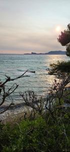 Appartements Villa ESPERANCE- appartement entier T2 : photos des chambres