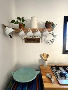 Casa Papaya, Tindaya