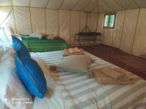 Desert glamping experience