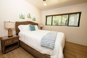 Tucsons Hot Springs at The Oasis