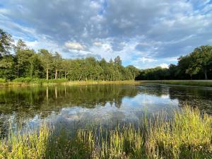 Hotels Les Hayes en Sologne : photos des chambres