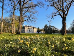 Hotels Les Hayes en Sologne : photos des chambres