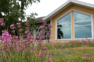 Keltainen talo - tilava huvila lähellä Saloa