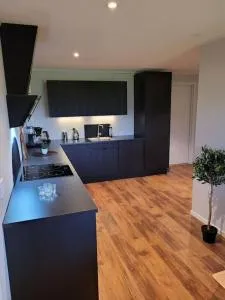 Romslig leilighet midt i Lofoten - Storeidet