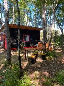 Cabaña en el bosque - Nahuentúe