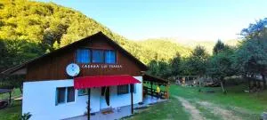 Cabana lui Foardă - Godeanu