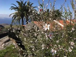 Chijere El Paso - Erque