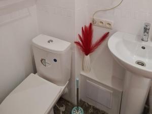 Двухкомнатные аппартаменты в центре города