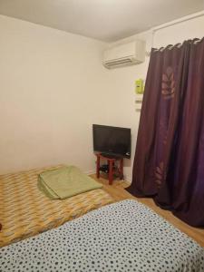 appartement une chambre Champigny-sur-Marne