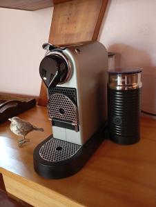 Fleur Bleue & The Timber Frame