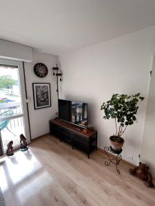Appartements Les Jardins de Wilson : photos des chambres