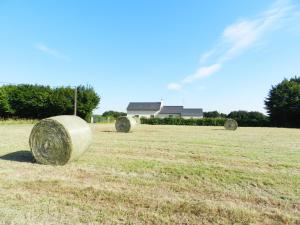 Maisons de vacances Gite La Grenouillere : photos des chambres