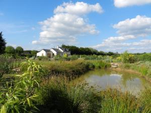 Maisons de vacances Gite La Grenouillere : photos des chambres