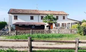 La vigna - Costigliole dʼAsti