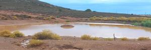 Protea Lodge - Glamping in the Karoo
