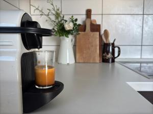 Art gallery near Pardubice