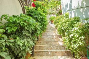 Blue Maraçi 3- Cozy BEACH Apt