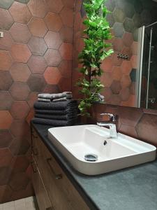 Arctic Hill Apartment