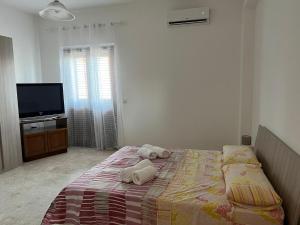 Appartamento con 2 Camere da Letto
