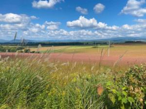 RONENAI BASE - Vacation STAY 87294v