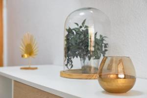 Vivendos - MA10 - Maestro Alonso