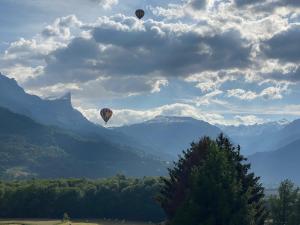 Appartements Panorama MontBlanc : photos des chambres