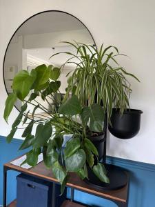 Appartements Au Coeur de la Nature, idealement place Paris : photos des chambres
