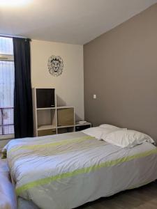 Bel appartement en rue piétonne