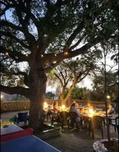 Paraíso Andaluz - Salares