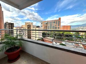Magical Laureles