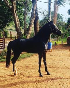 Casa Baldoni - Fazenda de Café