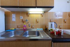 Seaside holiday house Cove Zarace - Gdinj, Hvar - 2048