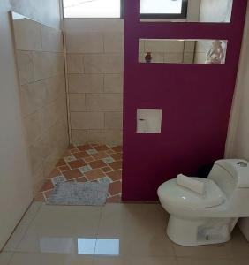 Cabinas Río Celeste