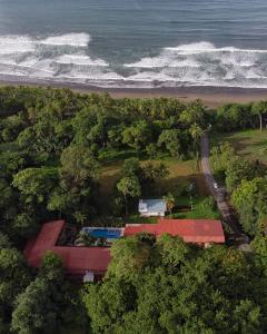 Hotel Playa Bejuco