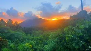 island paradise bungalows - Looutel