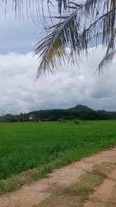 Sri Nawa Homestay - Kampong Tanjong Piring