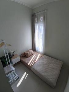 Dynastys Gästehaus near Dieng Plateau - Cozy Stay