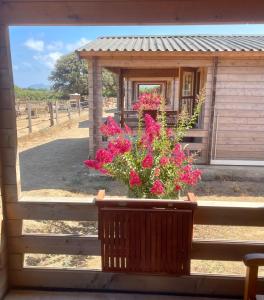 Fermes Les Chalets de Tesa : photos des chambres