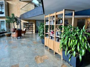 Room in BB - Suite Presidencial en hotel proximo al aeropuerto