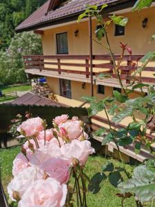 Pensiunea Denisa Preda integral-8 dormitoare cu 8 băi proprii